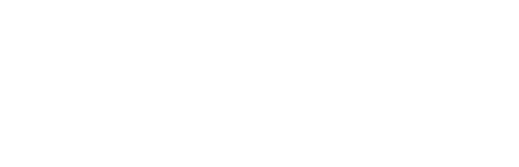 Minutes